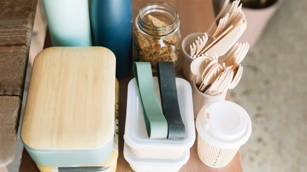 biodegradable food containers
